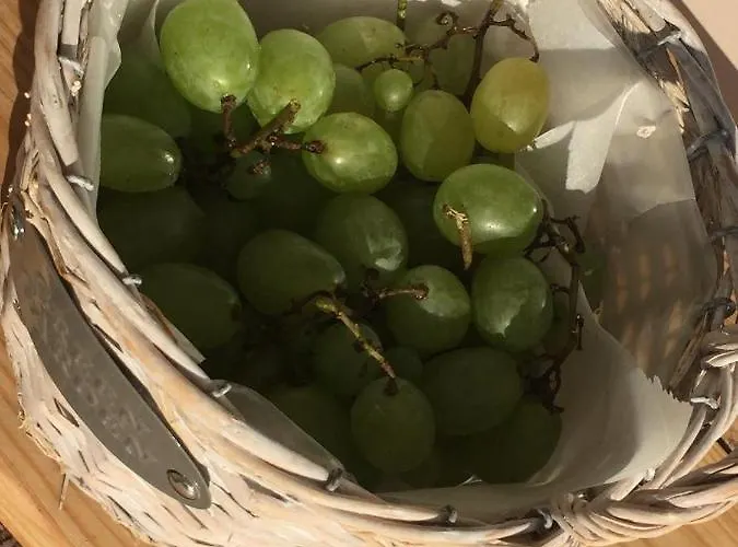 Elaion Mini 4* Нафплион